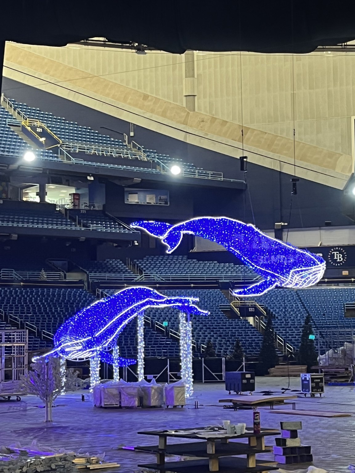 Two illuminated whale displays suspended above the Enchant Christmas installation at Tropicana Field