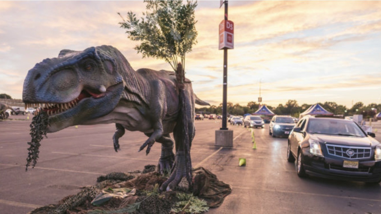 Cars follow the Jurassic Quest drive-through route beside a large T. rex display at sunset